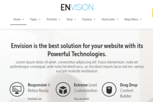 Envision Nulled