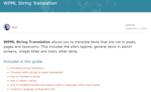 WPML String Translation Addon Nulled