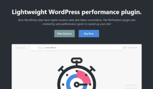Perfmatters Nulled WordPress Performance Plugin Download