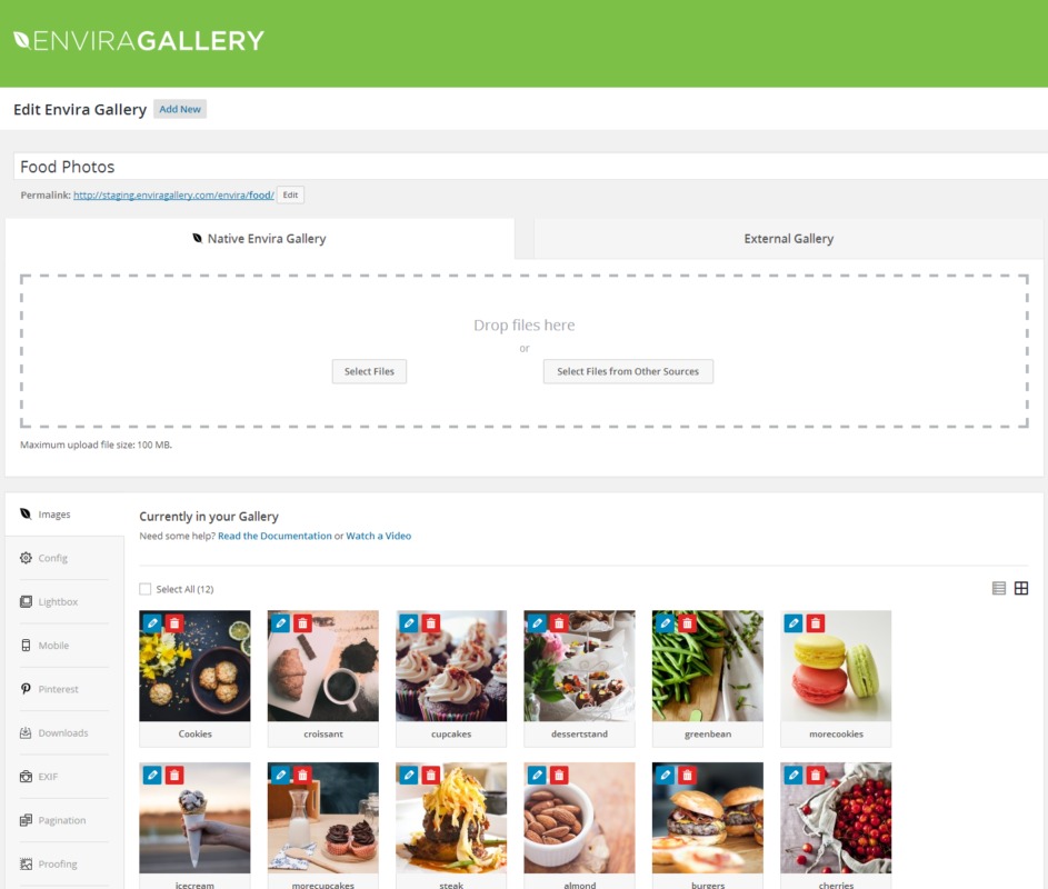 Envira Gallery Core Plugin Nulled Free Download