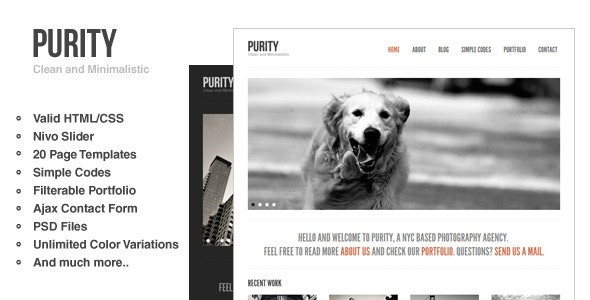 Purity Nulled Responsive, Minimal & Bold WP Theme Download