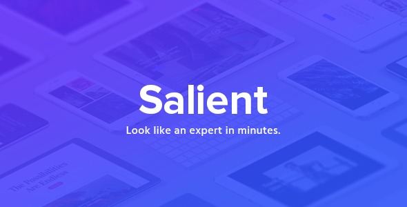 Salient Nulled Responsive Multi-Purpose Theme Free Download