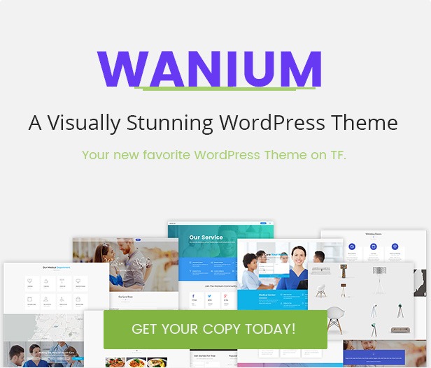 Wanium Nulled A Elegant Multi-Concept Theme Download