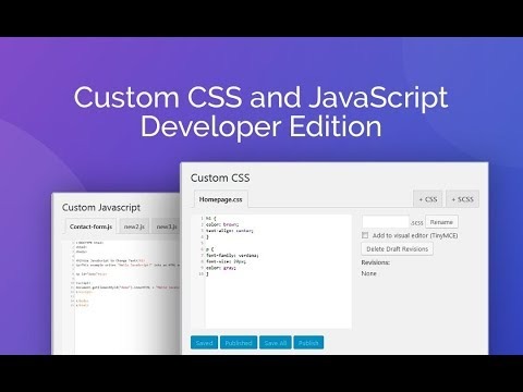 Custom CSS and JavaScript Developer Edition Nulled Download