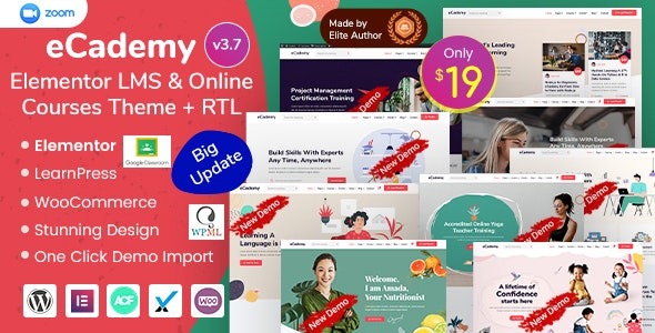 eCademy Nulled Elementor LMS & Online Courses Theme Free Download