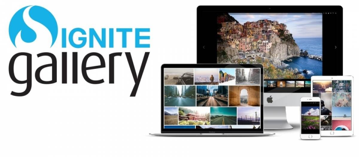 Ignite Gallery Nulled