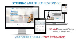 Striking Nulled MultiFlex & Ecommerce Responsive WP Theme Download