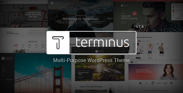 Terminus Nulled Multi-Purpose WordPress Theme Free Download