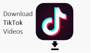 TikTok Video Downloader Nulled Without Watermark & ​​Music Extractor Free Download