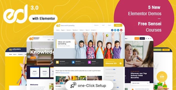 Ed School Nulled Education WordPress Theme Free Download
