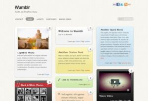 Themify Wumblr WordPress Theme Nulled Free Download
