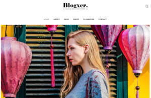 free download Bloxer - Blog & Magazine WordPress Theme nulled