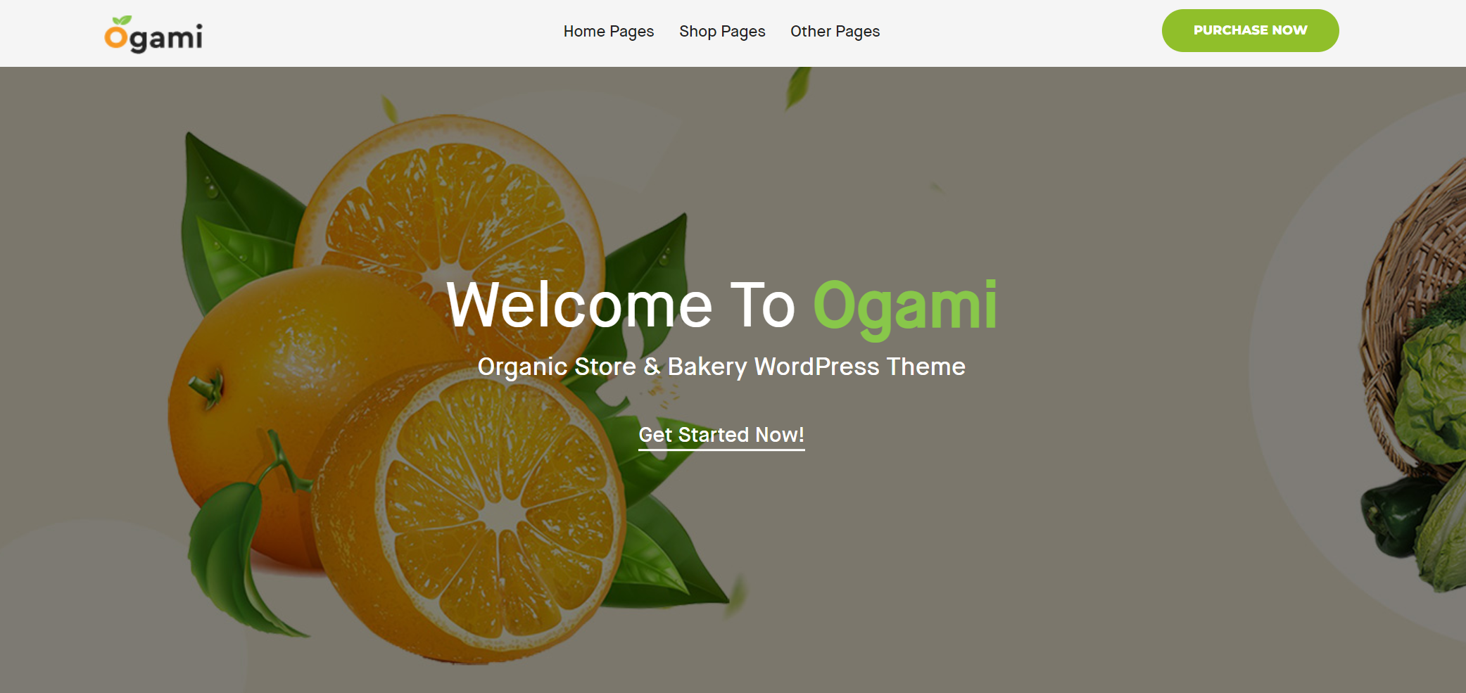 free download Ogami - Organic Store WordPress Theme nulled