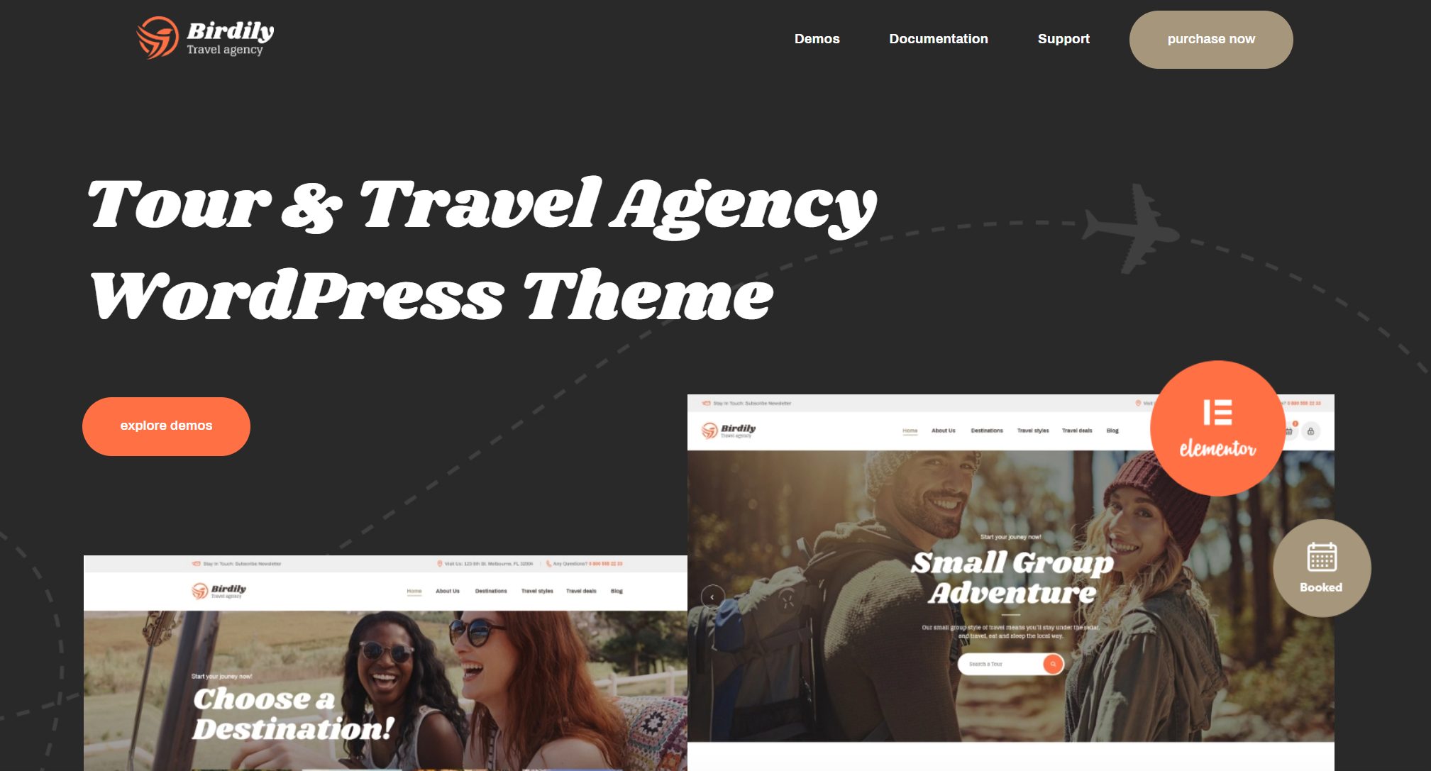 free download Birdily Travel Agency & Tour Booking WordPress Theme nulled