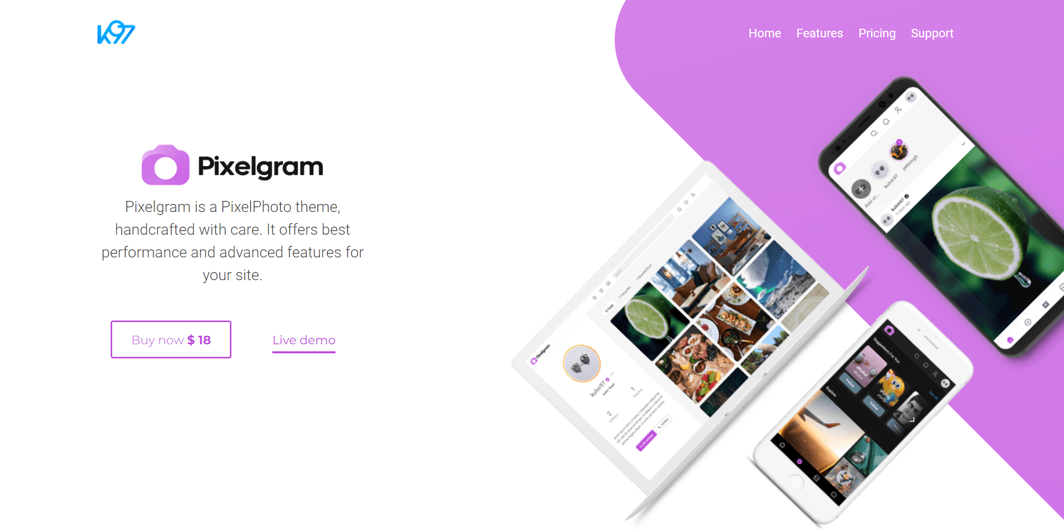 free download Pixelgram - The Ultimate PixelPhoto Theme nulled