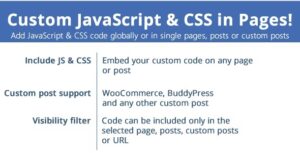 Custom JavaScript & CSS in Pages Nulled Free Download