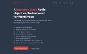 Redis Cache Pro Nulled
