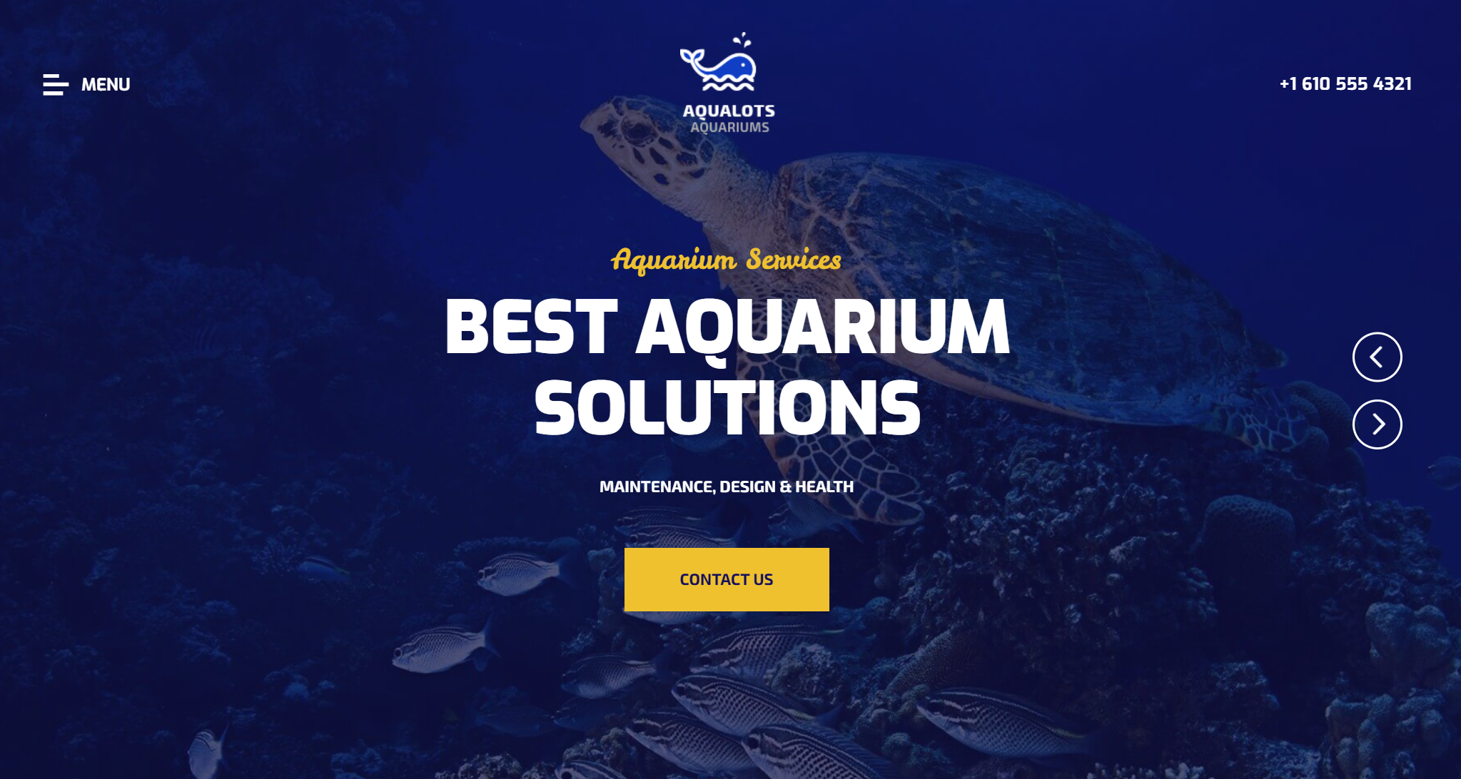 free download Aqualots Aquarium Installation and Maintanance Services WordPress Theme nulled