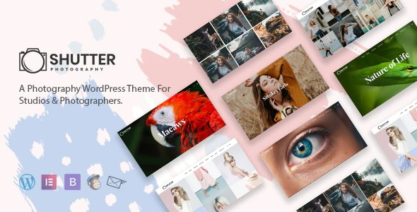 free download Shutter - Photography WordPress Theme nulled