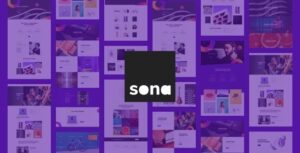 Sona Nulled Digital Marketing Agency WordPress Free Download