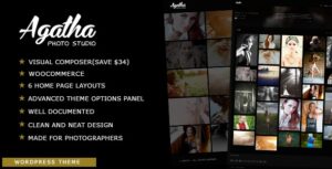 free download Agatha Art Gallery Photography Theme nulled