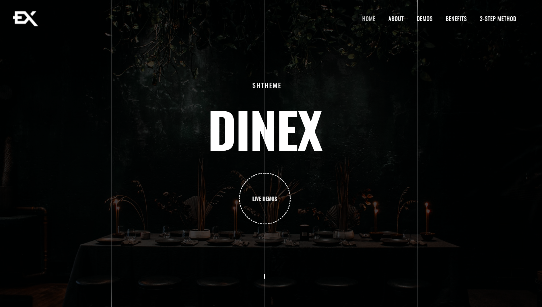 free download Dinex - One Page Restaurant WordPress Theme nulled