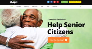 free download Hope Non-Profit, Charity & Donations WordPress Theme + RTL nulled