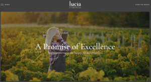 free download Lucia - Wine WordPress Theme nulled