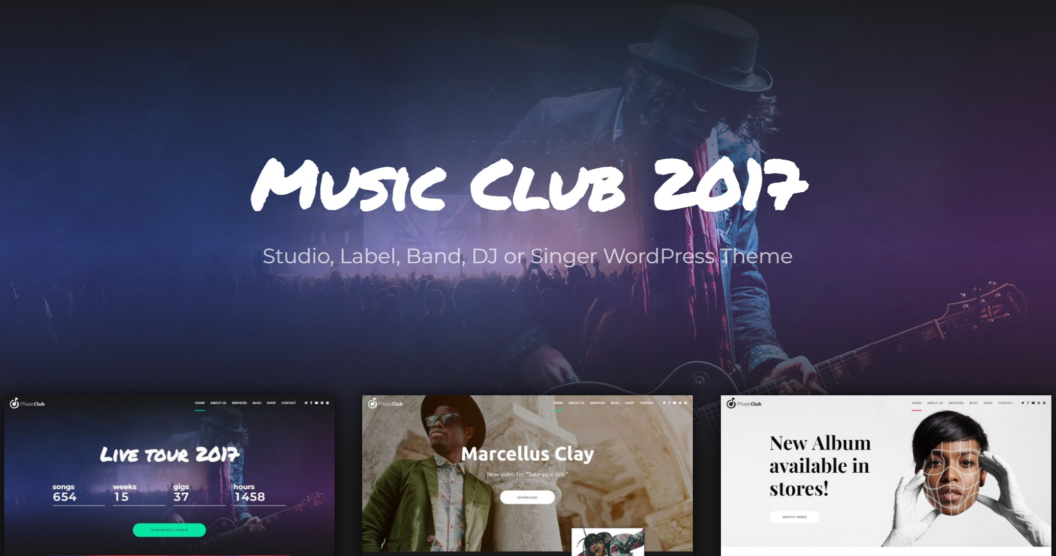 free fownload Music Club Studio, Label, Band, DJ or Singer WordPress Theme nulled