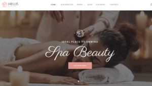 free download Mellis - Beauty & Spa WordPress Theme nulled